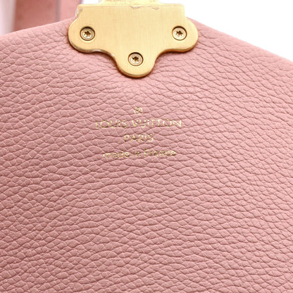 Louis Vuitton Clapton Handbag Damier And Leather Pm