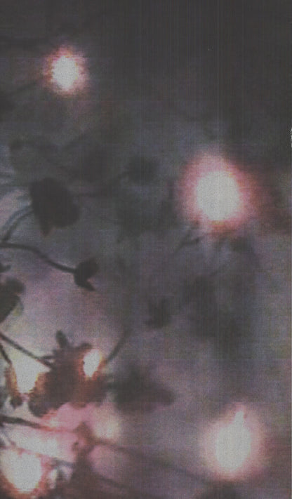 Ena Swansea American Dance Festival " Serigraph African Amer