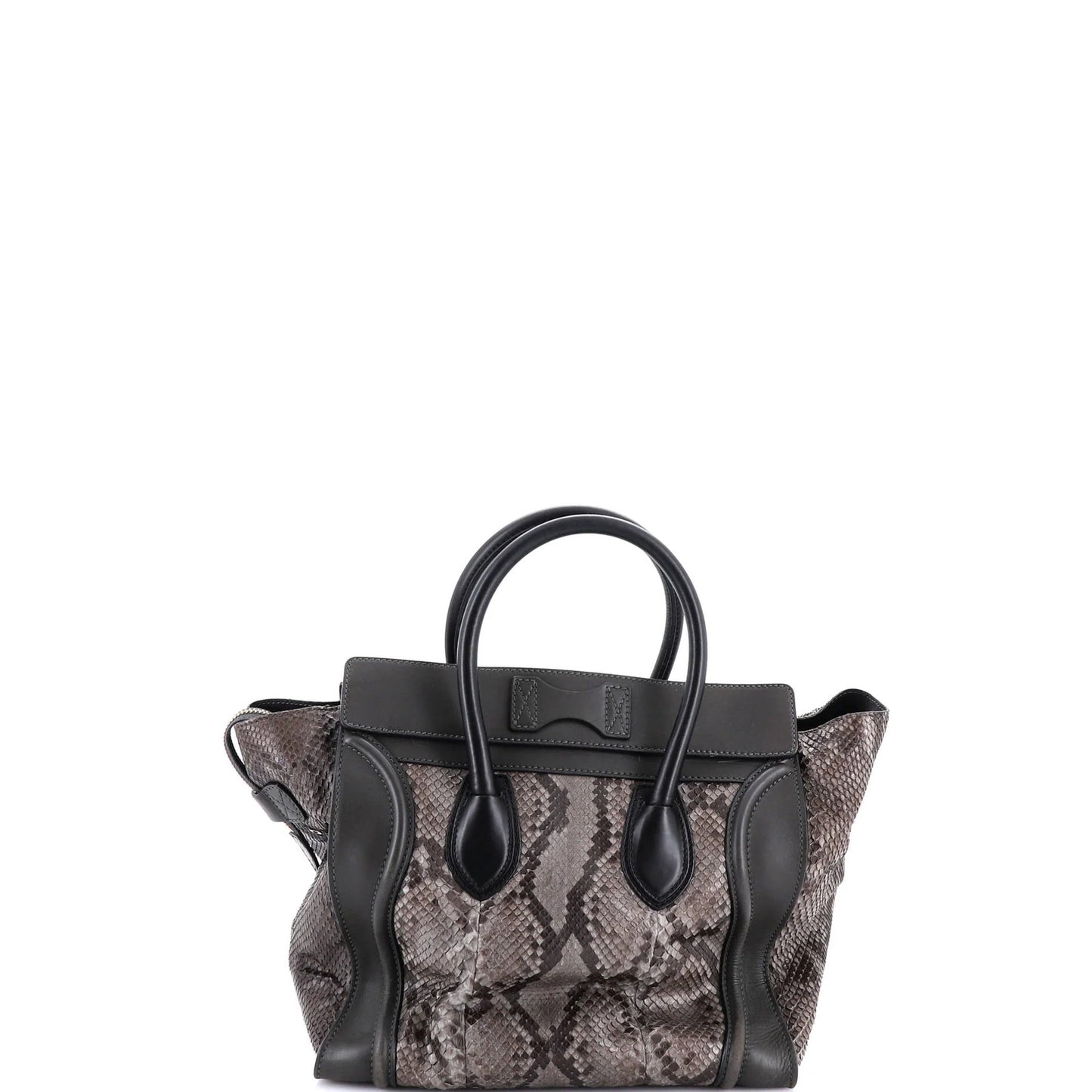 Celine Luggage Bag Python And Leather Mini