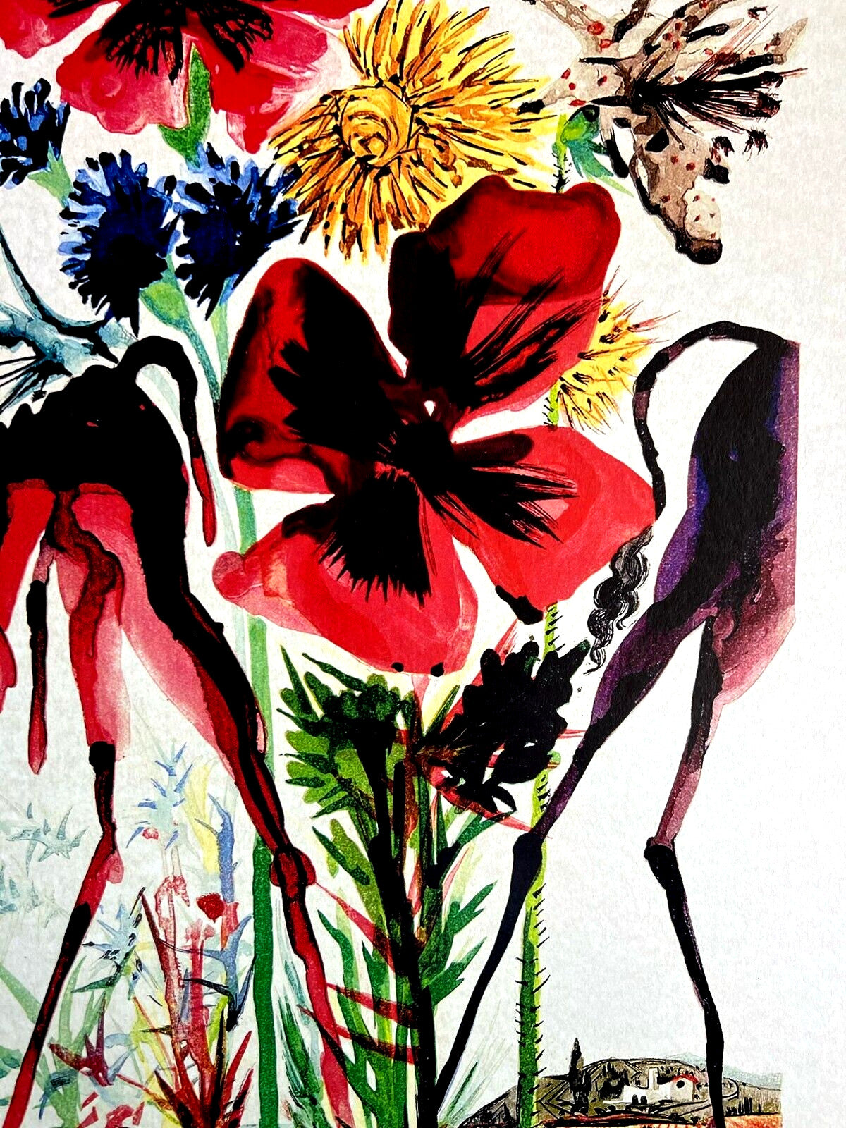 Salvador Dal Lithograph From An Drawing Coa Signed Op Rare