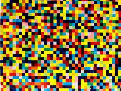Ellsworth Kelly Lithograph Coa Signed Op Numbered