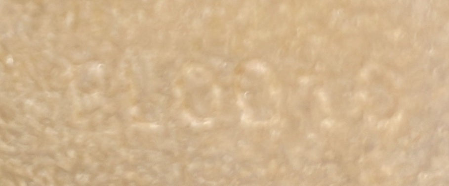 Louis Vuitton Twin Handbag Monogram Canvas Gm