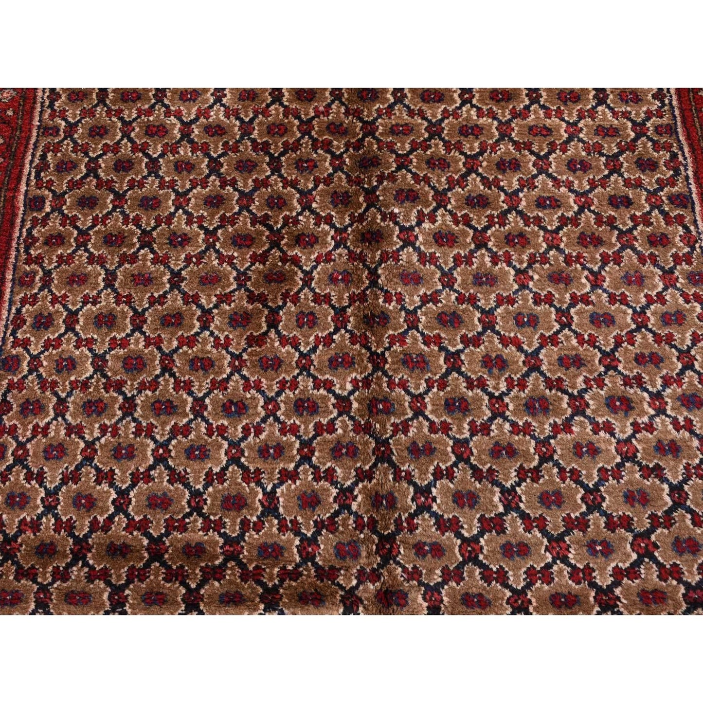 Rug 5'x9'6" Brown New Zoroastrian Serrib Pure Wool Hand Knotted Runner