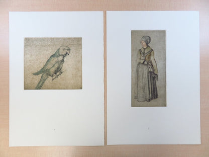 Dodici Acquarelli E Disegni Di Alberto Durer -