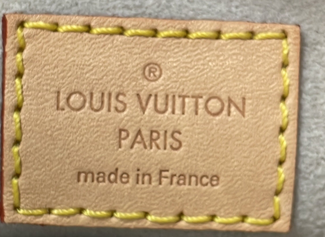 Louis Vuitton Tiny Backpack By The Pool Monogram Giant