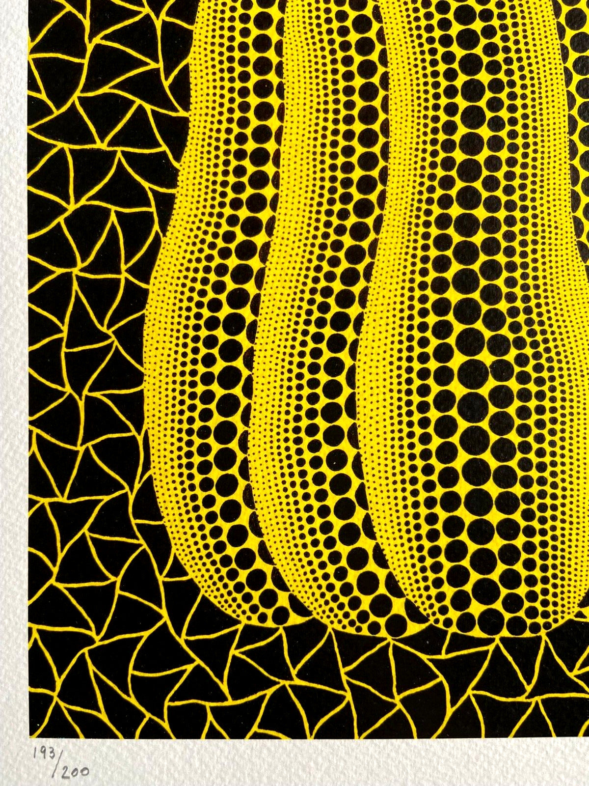 Yayoi Kusama Lithograph Mori Art Museum Coa Rare