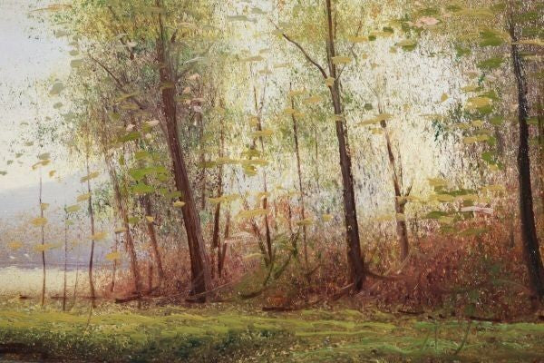 Daz De Cereo Early Spring By The Water Original Oil Painting Spain Signed