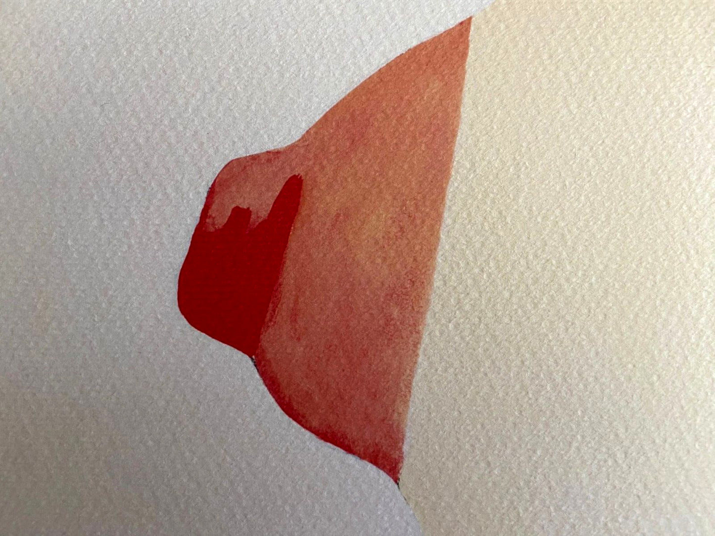 Tom Wesselmann Lithograph Coa Gagosian Signed Op Numbered By Hand