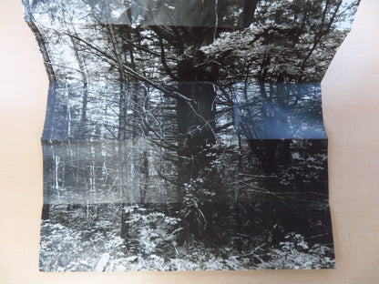 Manual: Forest / Product Suzanne Bloom Ed Hill