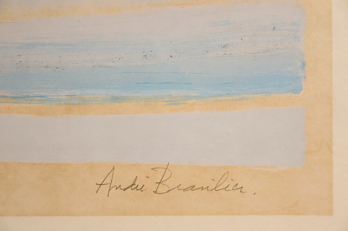 Andre Brasilier Signed Original Lithograph On Japanese Paper- Horses Framed