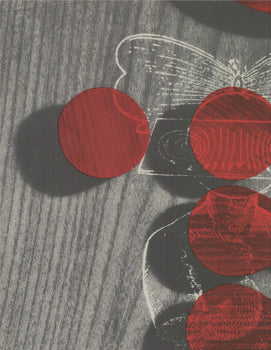 Artist Unknown Internationale Sezession 