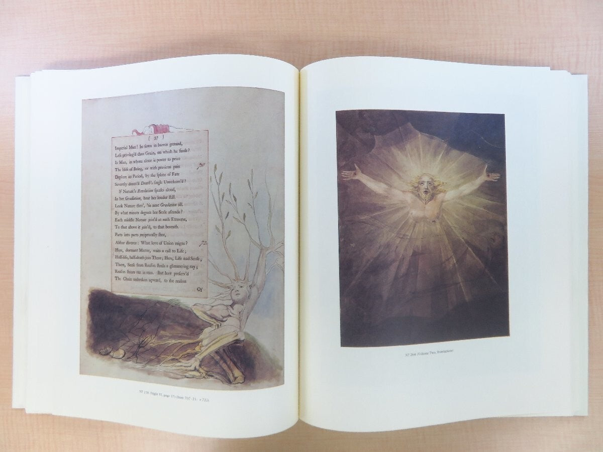 William Blake'S Designs For Edward Young'S Night Thoughts Complete Edition 2 Vol
