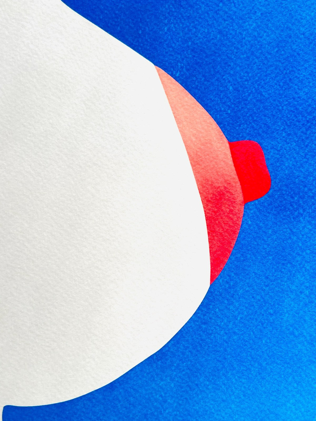 Tom Wesselmann Lithograph Coa Signed Op Numbered, Pencil