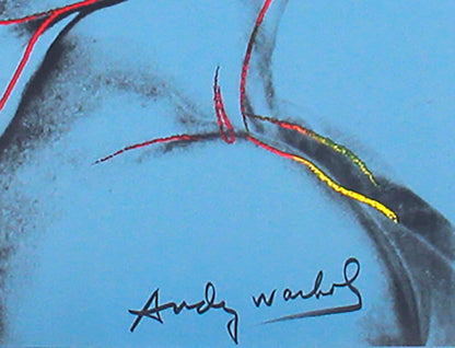 Andy Warhol Querelle Blue " Poster Pop Art Blue, Red Movies
