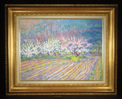 Jan Parker (British) Original Painting Oil On