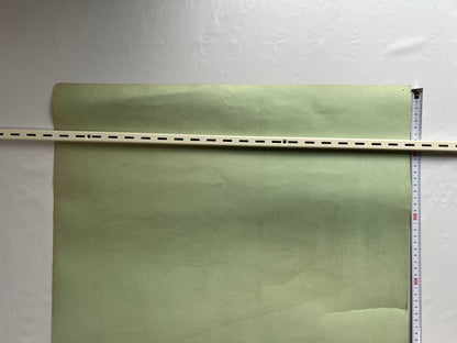 Vintage Cold War Poster Mig-21 Fishbed Soviet Fighter Jet Mcdonnell Douglas 74X5