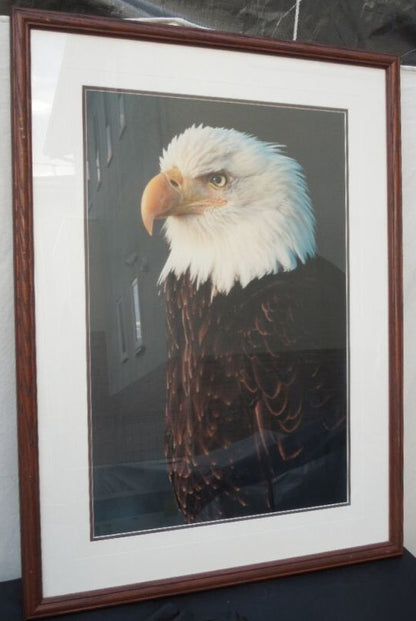 Thomas Mangelsen "Bald Eagle" Signed Original