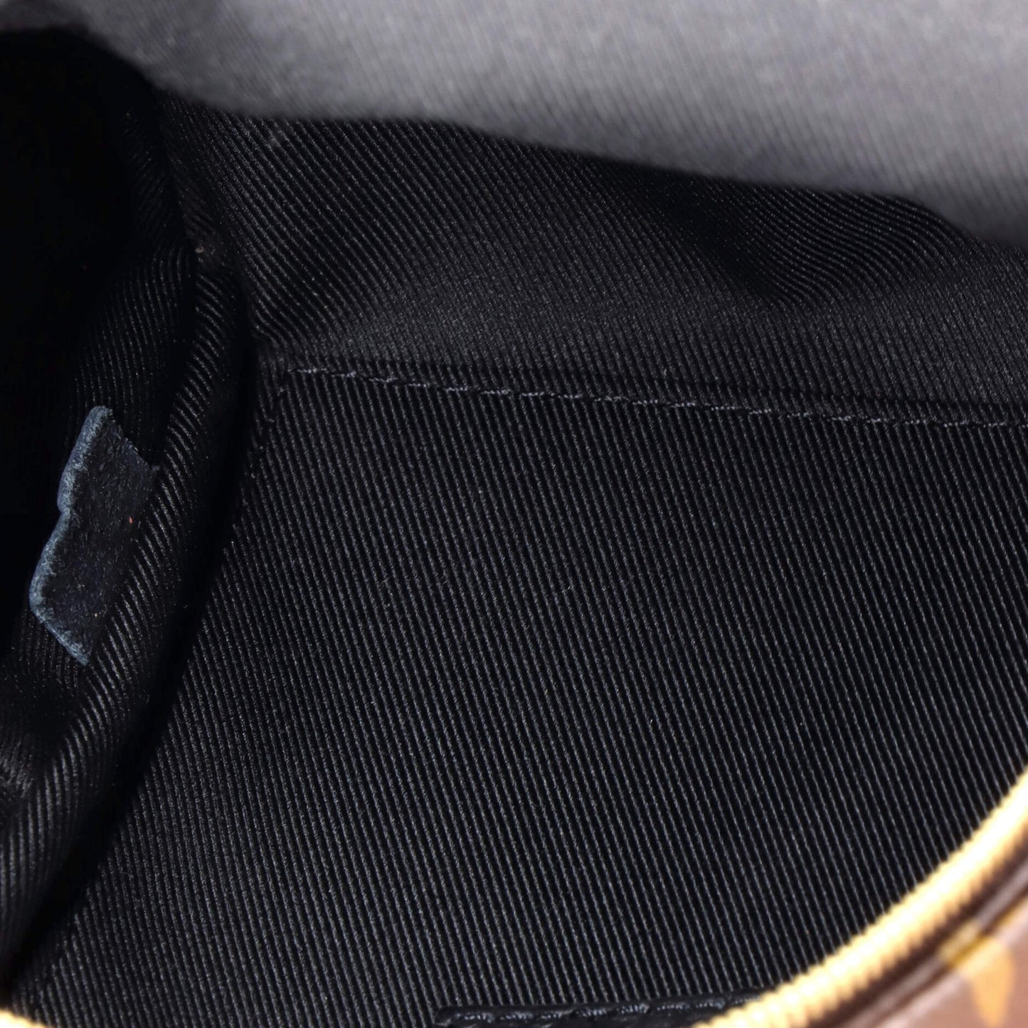 Louis Vuitton Palm Springs Backpack Monogram Canvas Mini