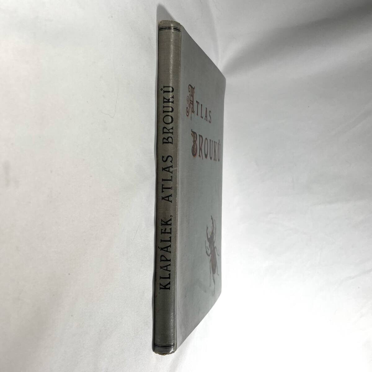 Atlas brouku by Frantiek Klaplek, 1903, Czech Beetle Atlas, Full-Color