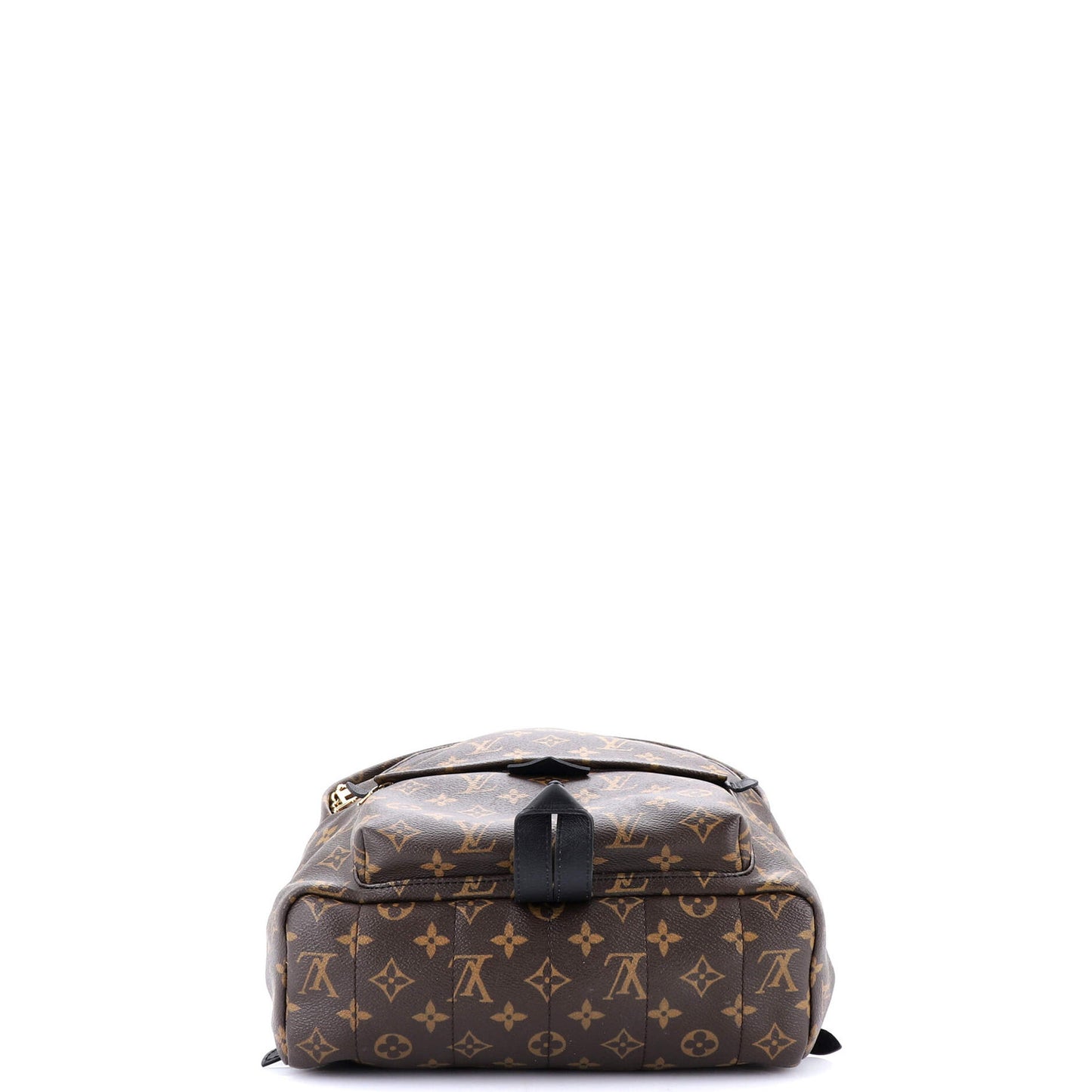Louis Vuitton Palm Springs Backpack Monogram Canvas Mm