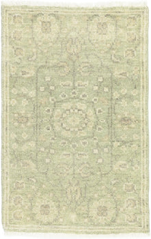 Muted Floral Transitional Area Rug 2X3 ft Bathroom Bedroom Decor