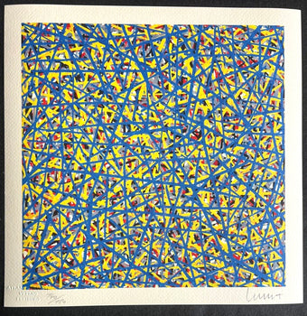 Sol Lewitt Lithograph Coa Hand Numbered Signed O.P. Stamp