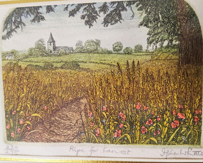 Stephen Whittle "Ripe For Harvest" Etching Signed Limited 239/275 Framed Uk Land