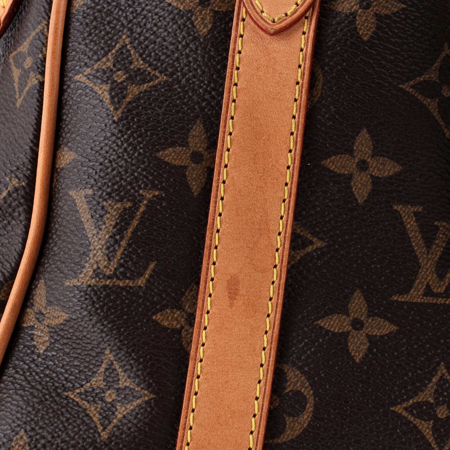Louis Vuitton Stresa Handbag Monogram Canvas Pm