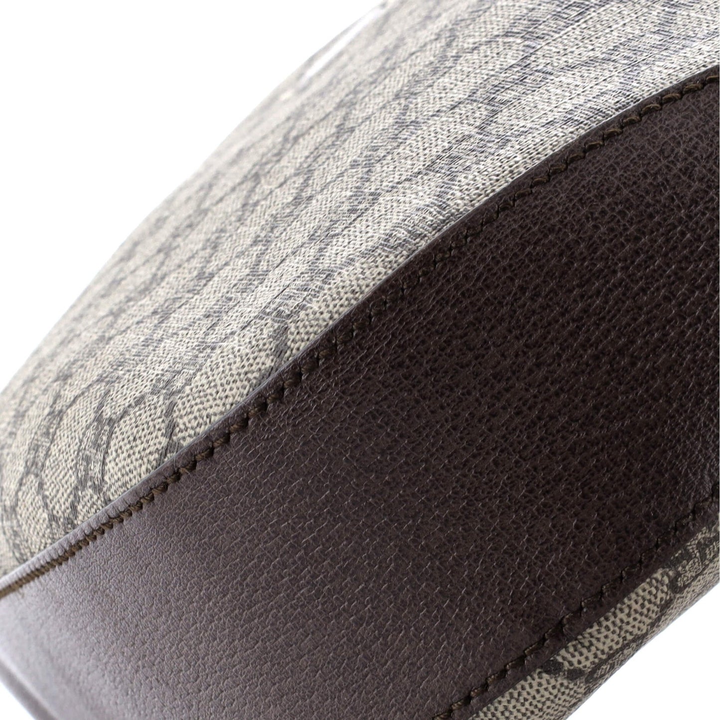 Gucci Dionysus Hobo Gg Coated Canvas Medium