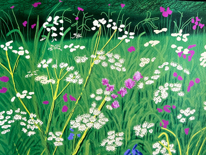 David Hockney Lithograph Handmade Coa Signed Op Numbered Limited &