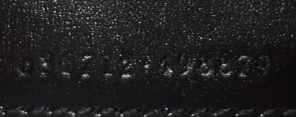 Gucci Jackie 1961 Hobo Printed Leather Medium