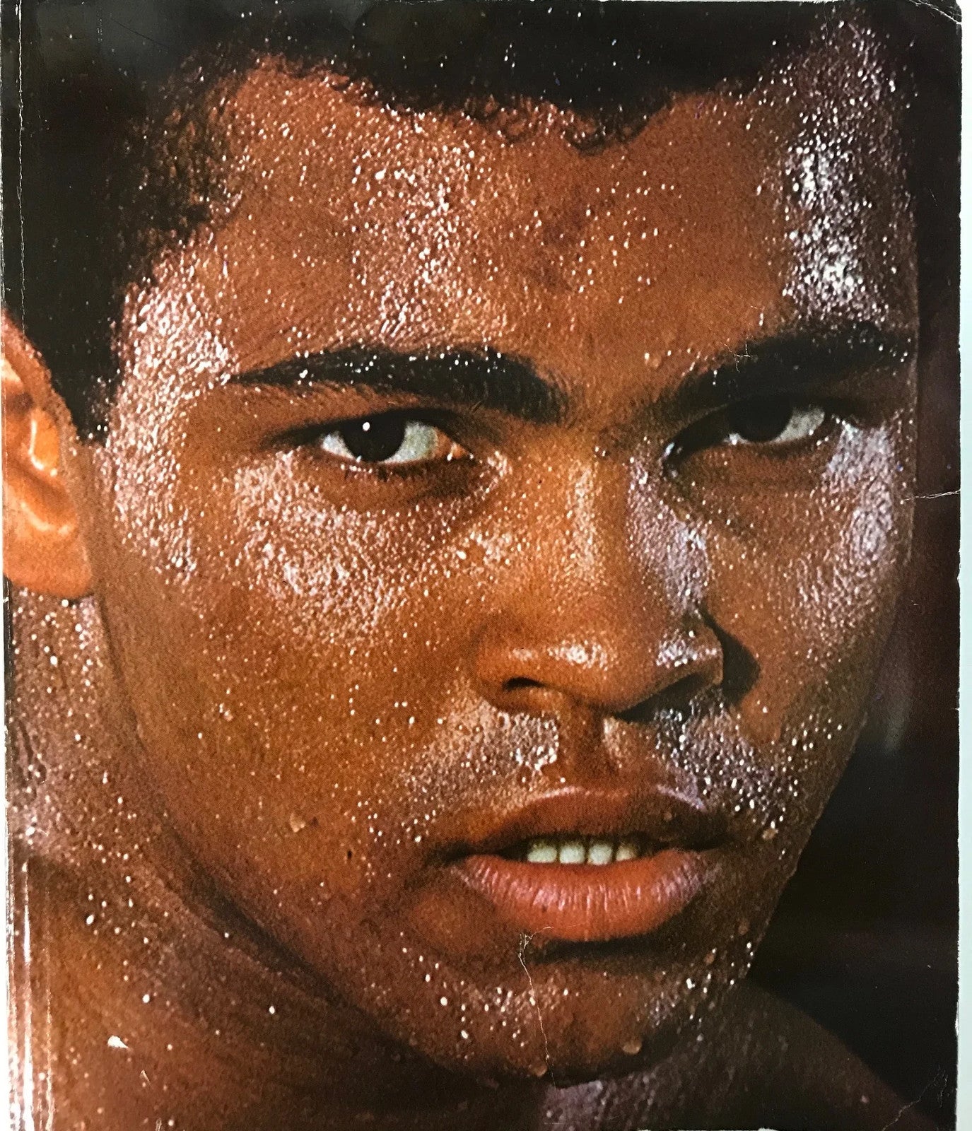 Muhammad Ali Signed Soft Cover Book (Sportscard Guaranty Authentic)