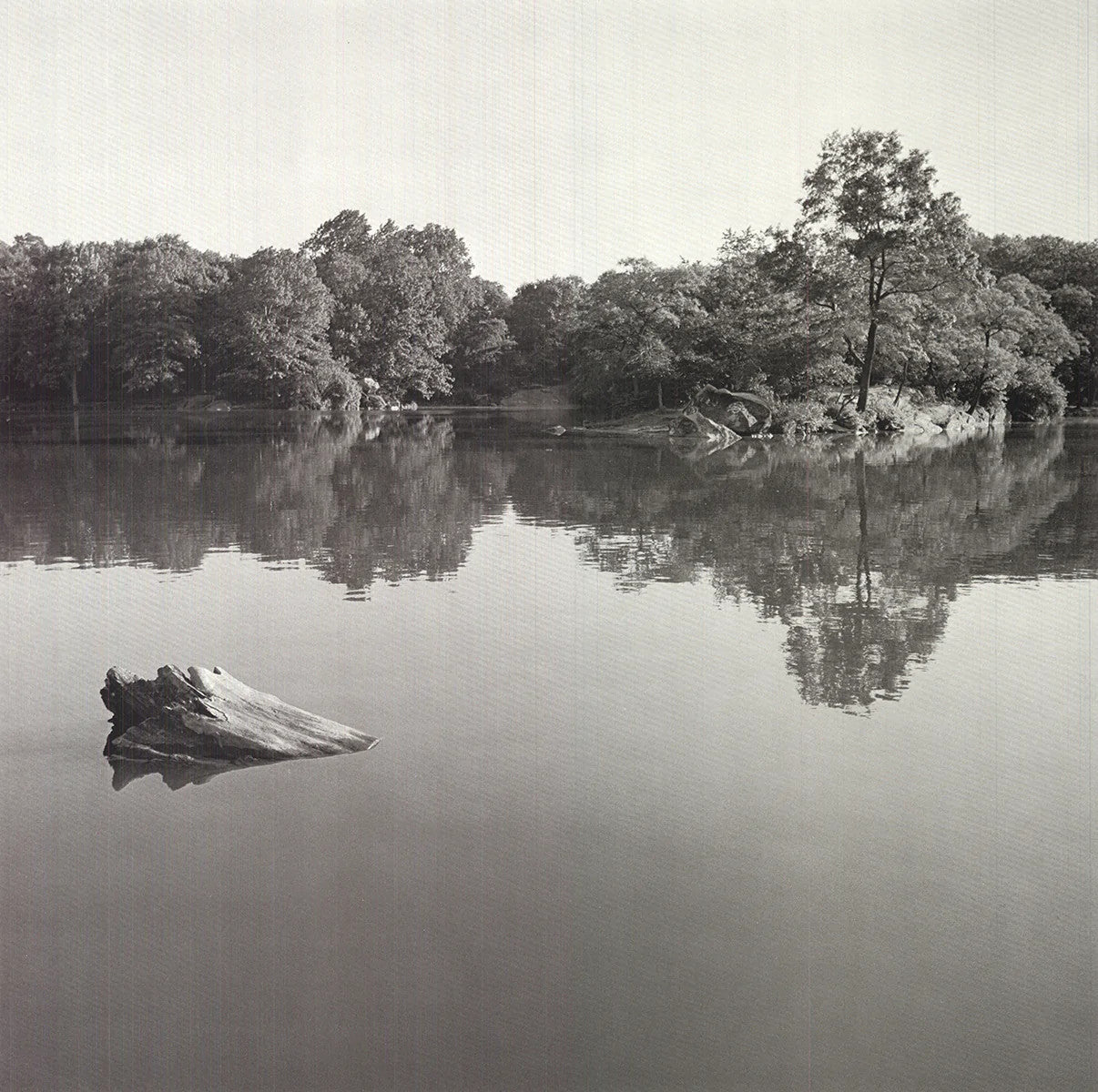 Joel Greenberg Central Park " Offset Lithograph Contemporary New Yo