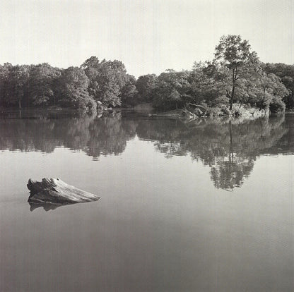 Joel Greenberg Central Park " Offset Lithograph Contemporary New Yo