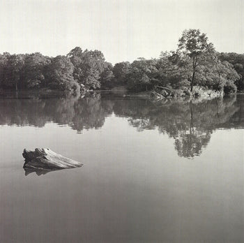 Joel Greenberg Central Park 