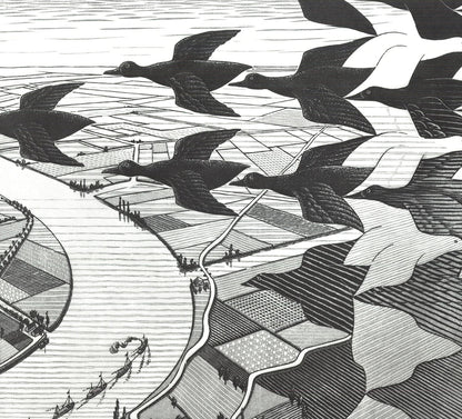M.C. Escher Day And Night " Poster Modernism