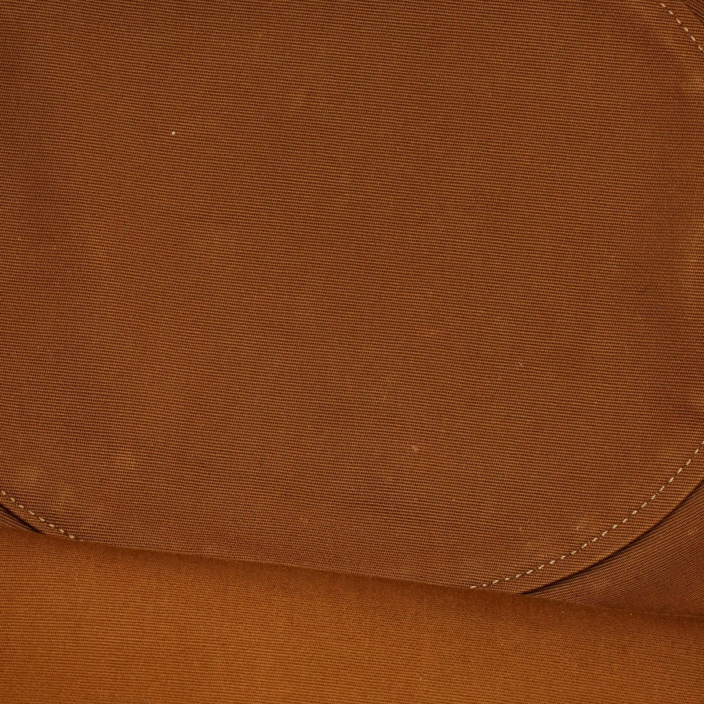 Celine Couffin Bag Triomphe Coated Canvas Medium