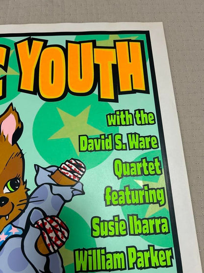 Sonic Youth Silkscreen Poster by Frank Kozik Signed Original 1999