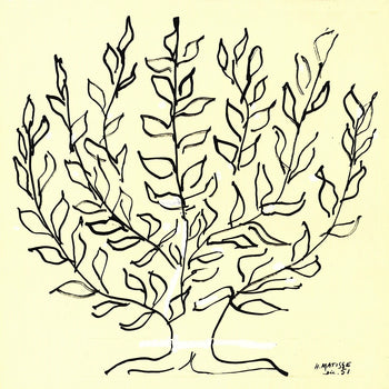 Henri Matisse The Bush (Small) 