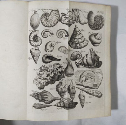 1719-1730 Kabinet Der Natuurlijke Historien Willem Van Ranouw 1St Edition 6 Vols