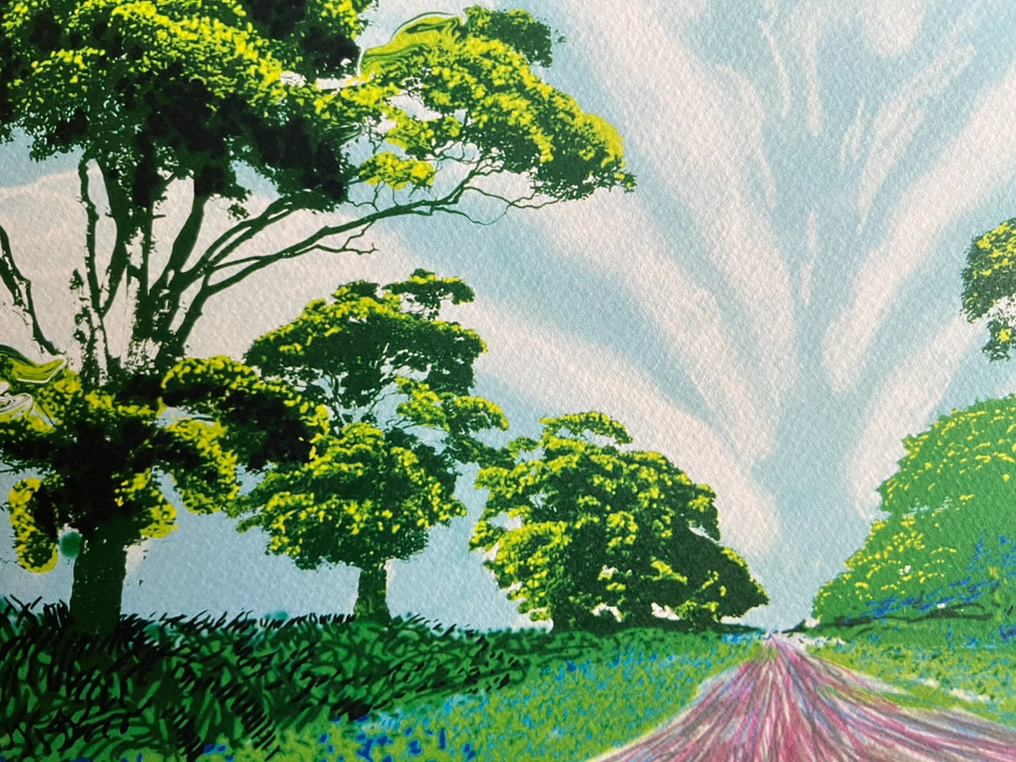 David Hockney Lithograph Coa Signed Op Numbered A Hand Limited