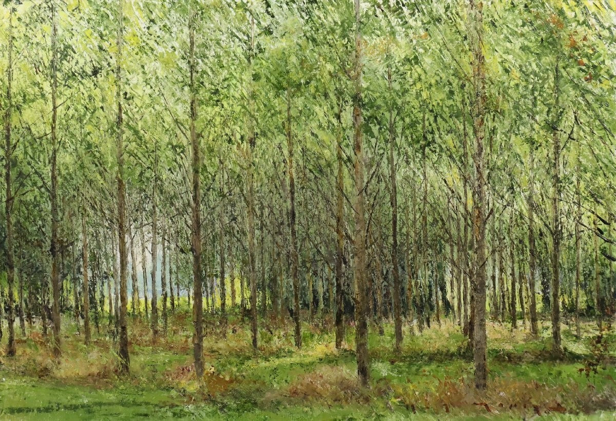Henri Jacques Masson Signed Oil Painting Forest Landscape Grove September