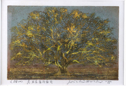 Hoshi Joichi - Big Tree Signed Framed Original Woodblock Print Art 1975