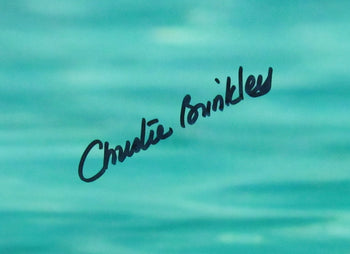 Christie Brinkley Vacation Pool Scene