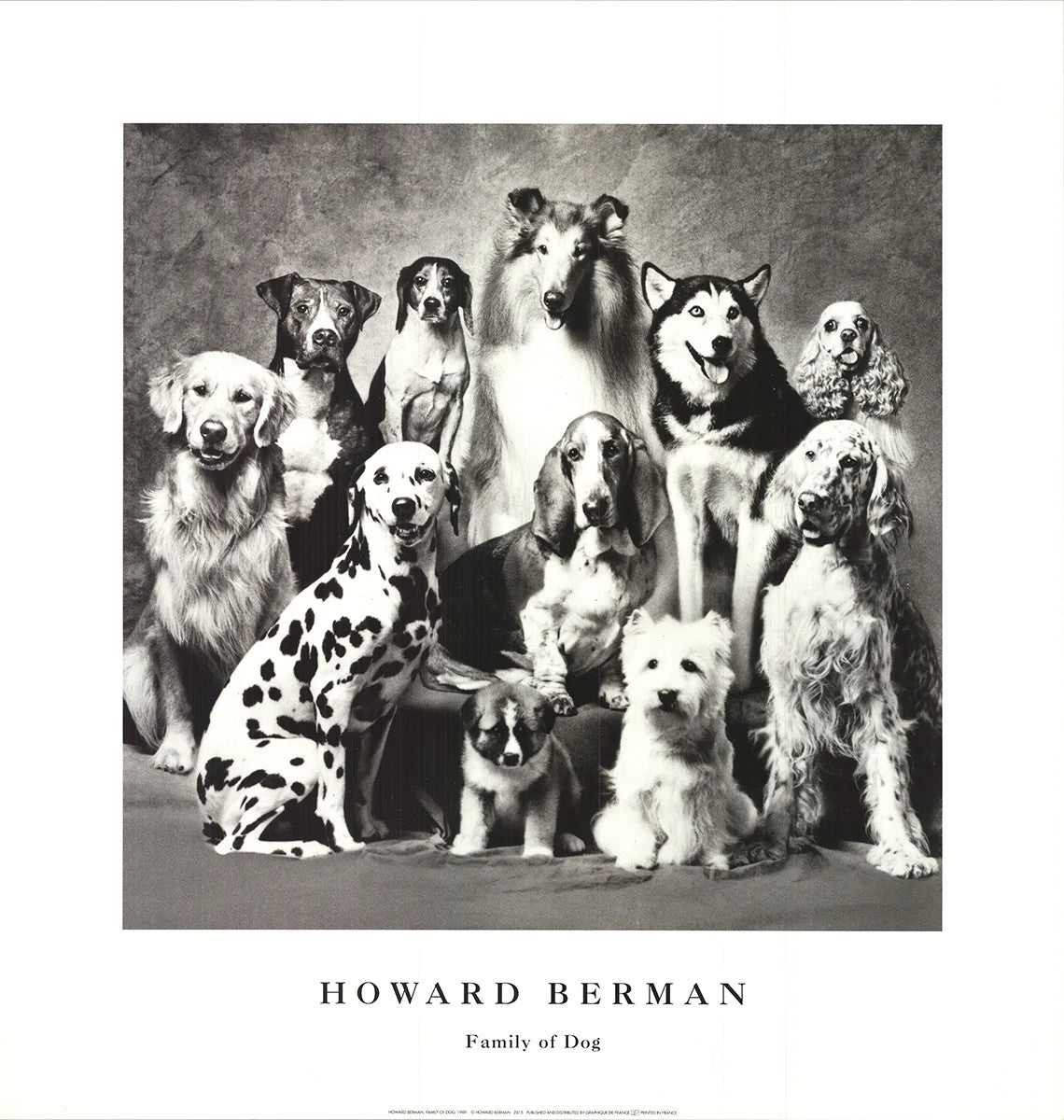 Howard Bernman Family Of Dog " Offset Lithograph Photography
