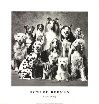 Howard Bernman Family Of Dog " Offset Lithograph Photography