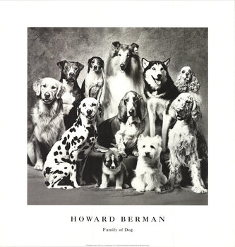Howard Bernman Family Of Dog 