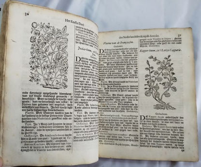 Petrus Nylandt De Nederlandtse Herbarius Kruydt-Boeck 1682 Dutch Herbal With Woo