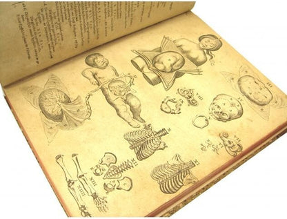 Syntagma Anatomicum Rare 17Th Medical Anatomy