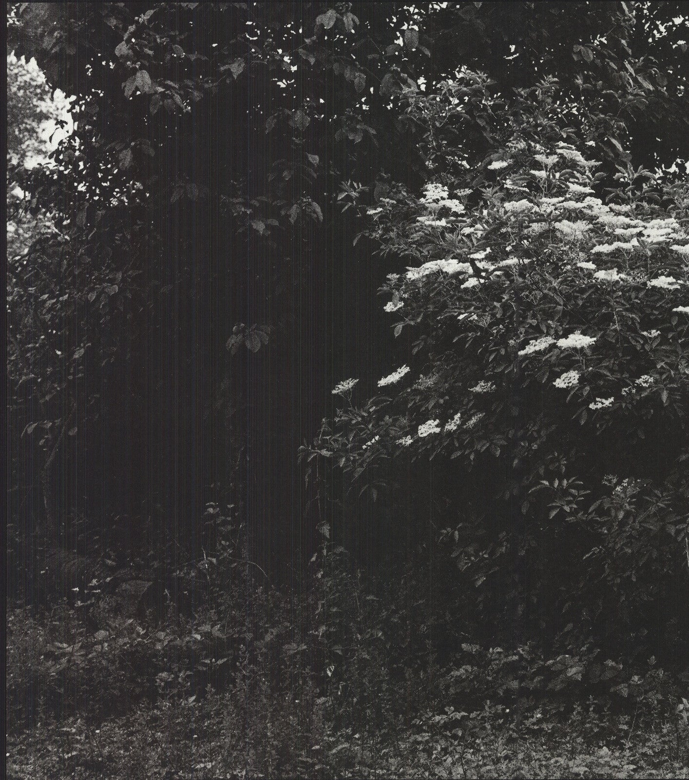 Reinhard Mucha Kasse Beim Fahrer " Offset Lithograph Photograp